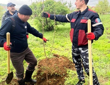 «Қазақтүрікмұнай» қызметкерлері экологиялық сенбілікке белсенді қатысты